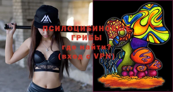 гашик Осташков