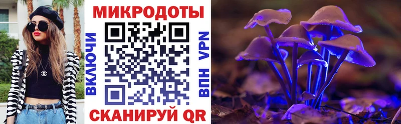Галлюциногенные грибы Psilocybe  маркетплейс телеграм  Гусиноозёрск 