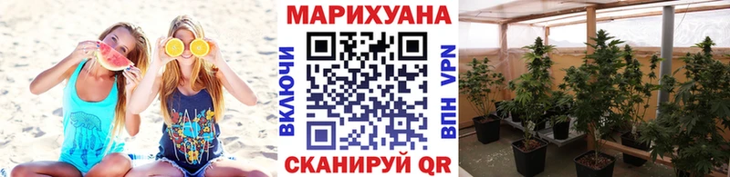 что такое Гусиноозёрск Конопля OG Kush